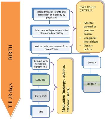 Echocardiographic and ultrasound evaluation of haemodynamic parameters in hypoxic neonates treated with hypothermia: Study protocol